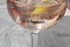 Copas-9