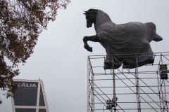 Caballo-11