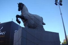 DSC02539
