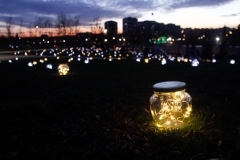 luminarias_solsticio_invierno01_kr
